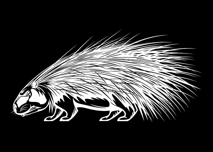 Porcupine