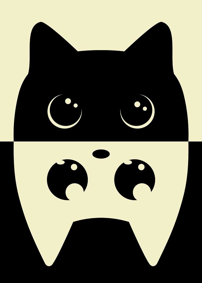 Black White Cat 2