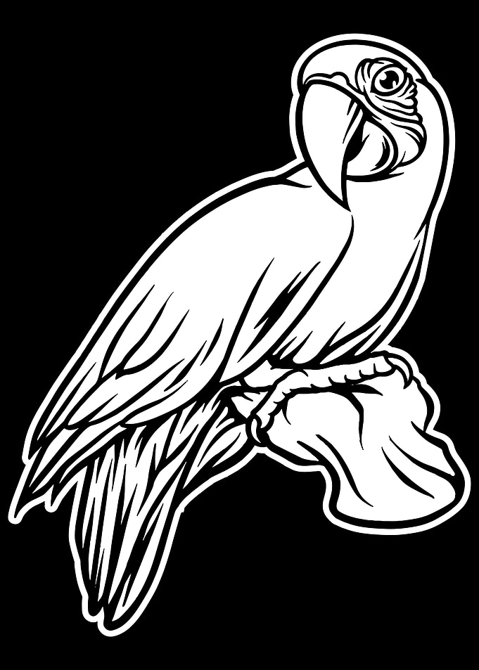 Parrot