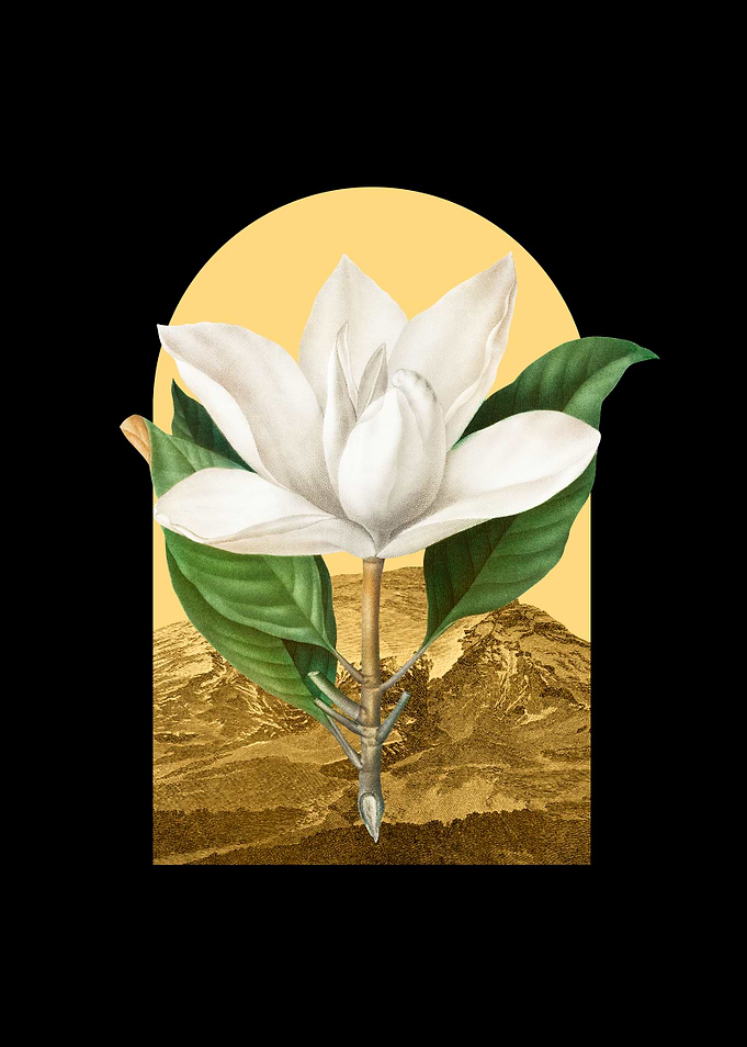 Floral Landscape Magnolia