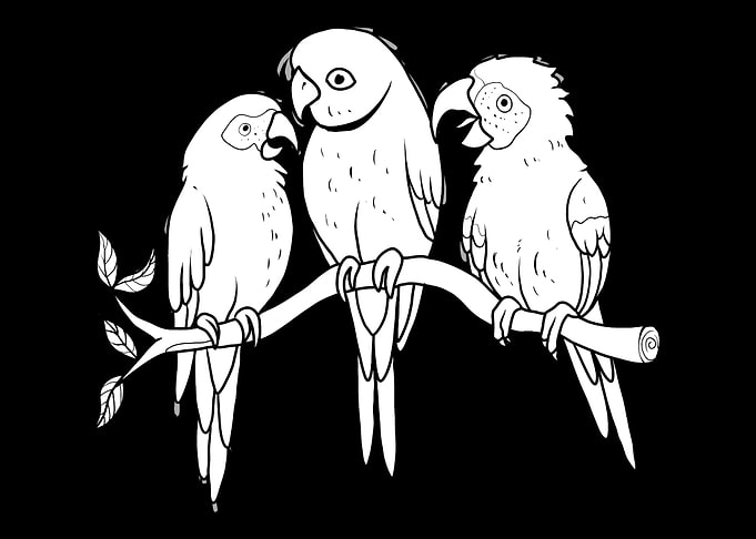 Parrot Branch