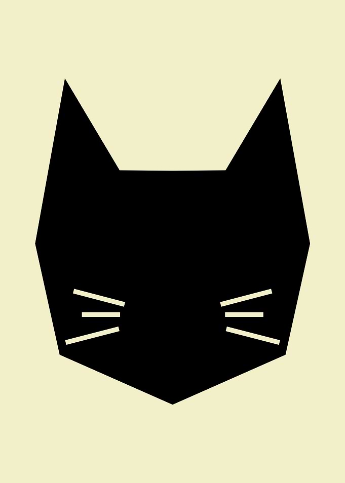 Cube Cat