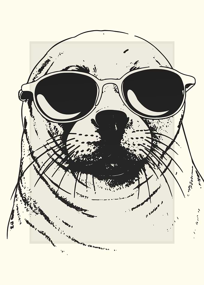 Caspian Seal Illustration