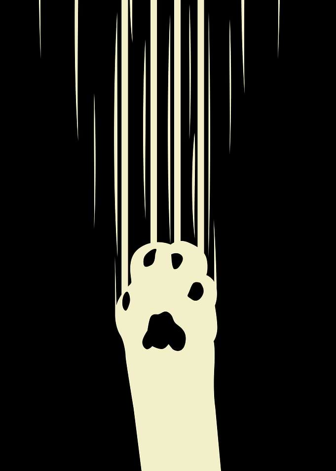 Cat Scratches
