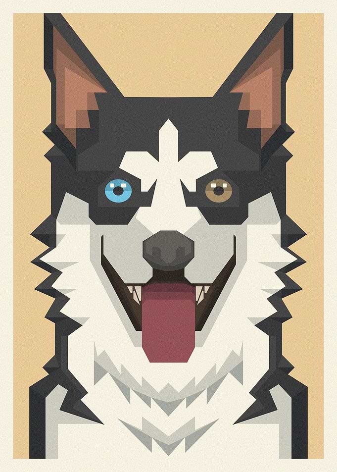 Siberian Husky