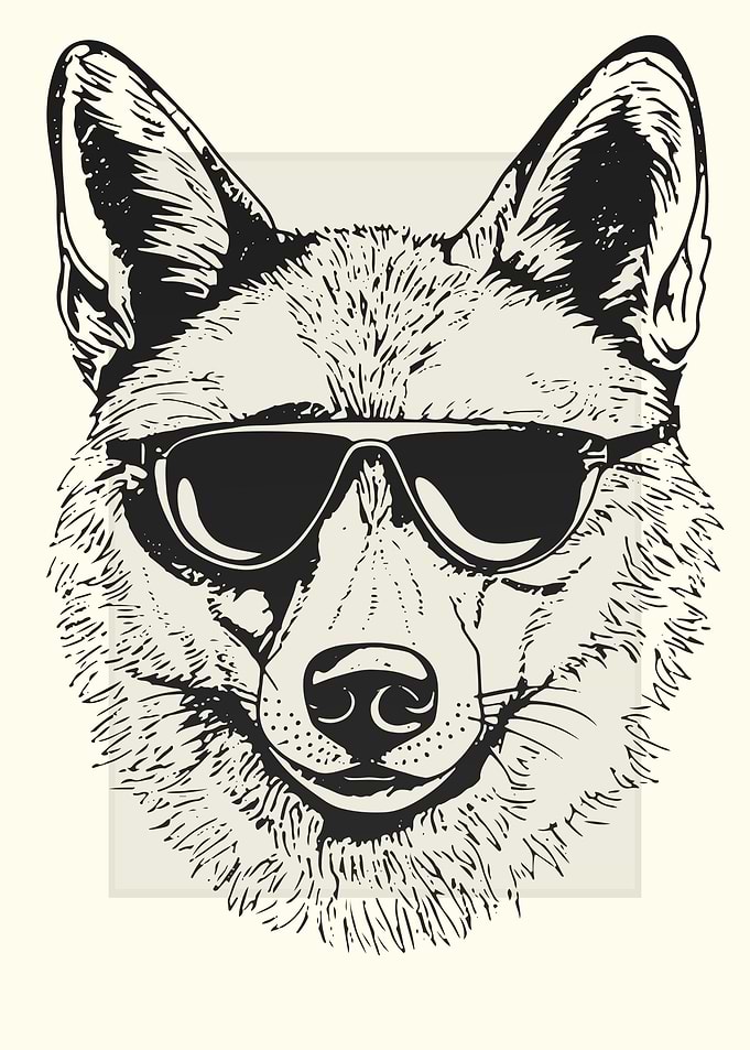 Cayote Illustration