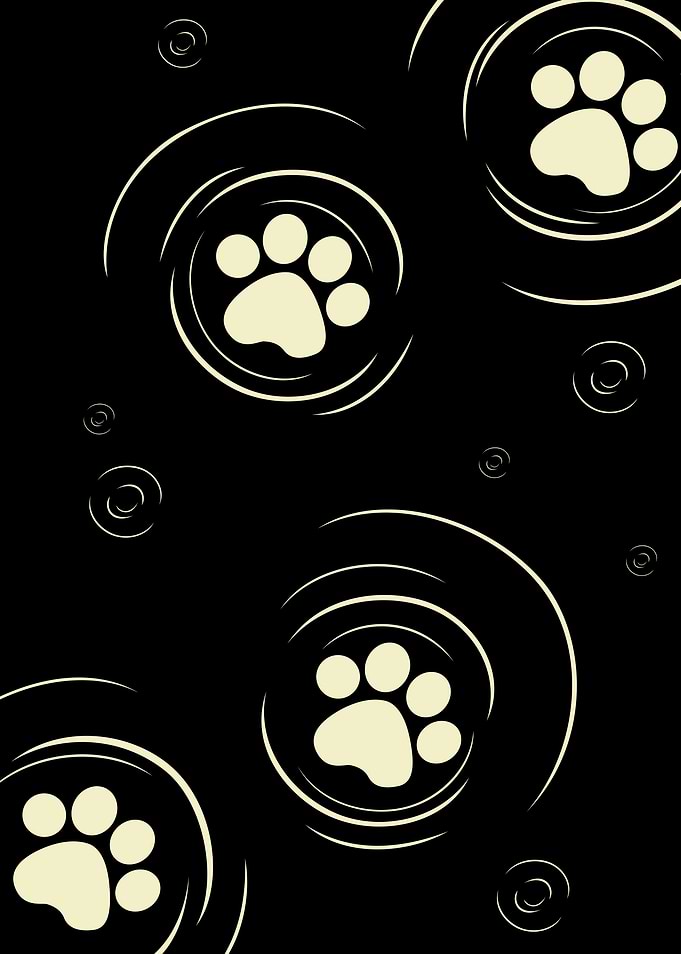 Paws In Water