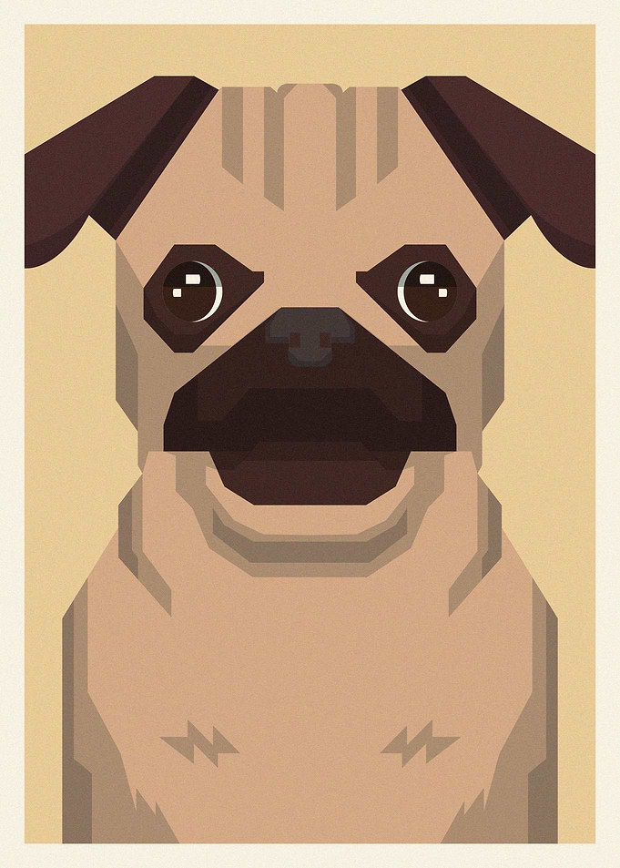 Pug