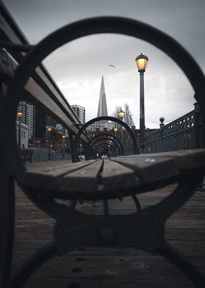 Pier 7 Park Bench View