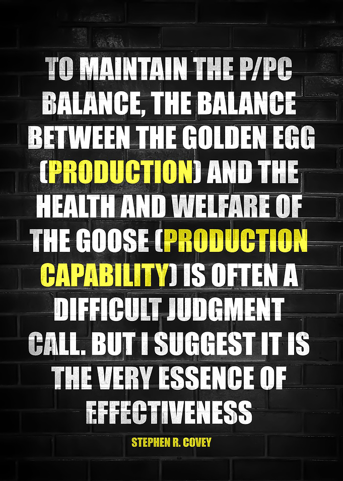 STEPHEN R COVEY QUOTE