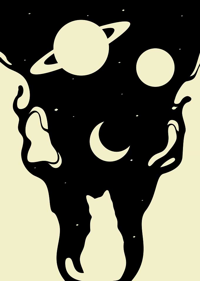 Space Cat 4