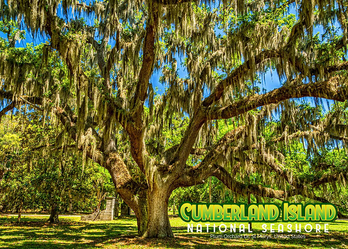 Cumberland Island National