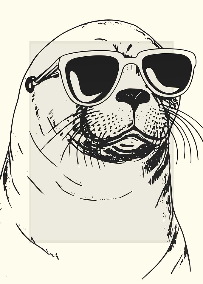 Caspian Seal Illustration