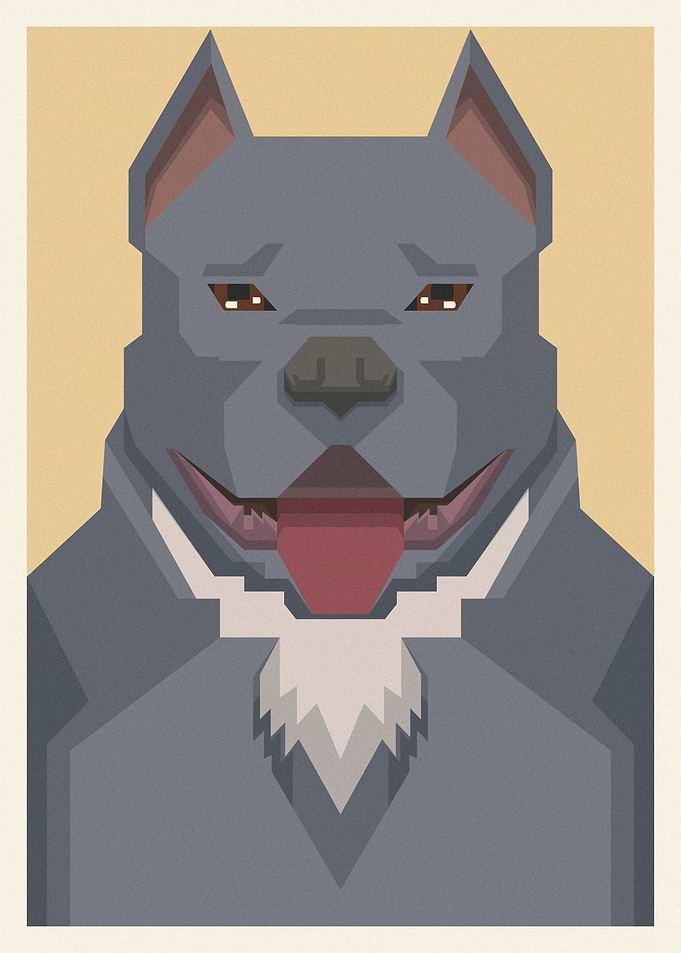 American Bully