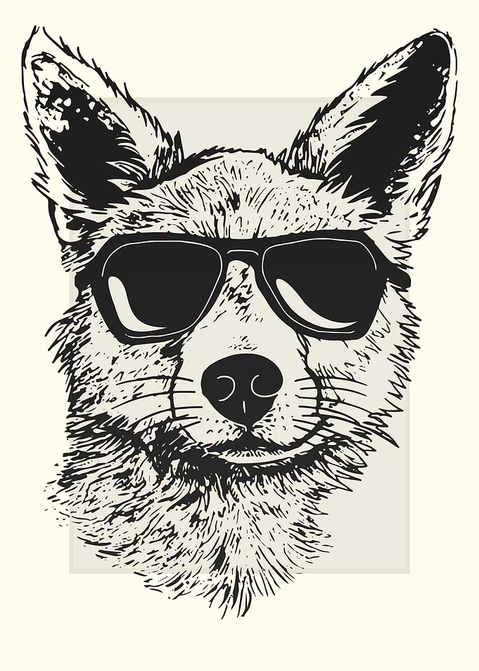 Cayote Illustration