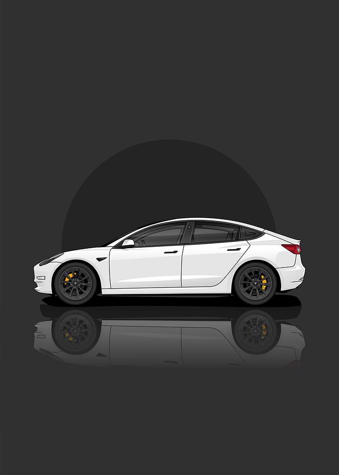 Tesla Model 3 Standard Ran