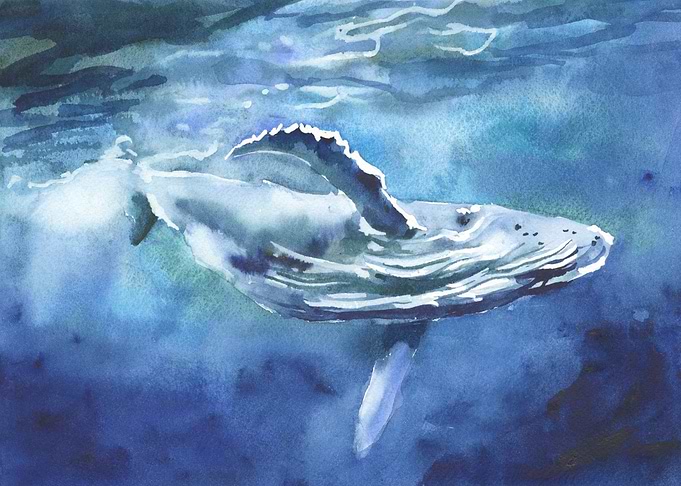 Whale watercolor painting
