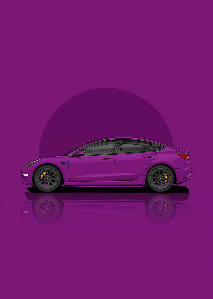 Tesla Model 3 Standard Ran