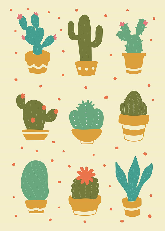 Succulents