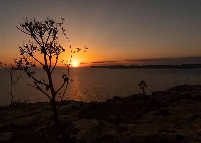 Maltesse Sunset