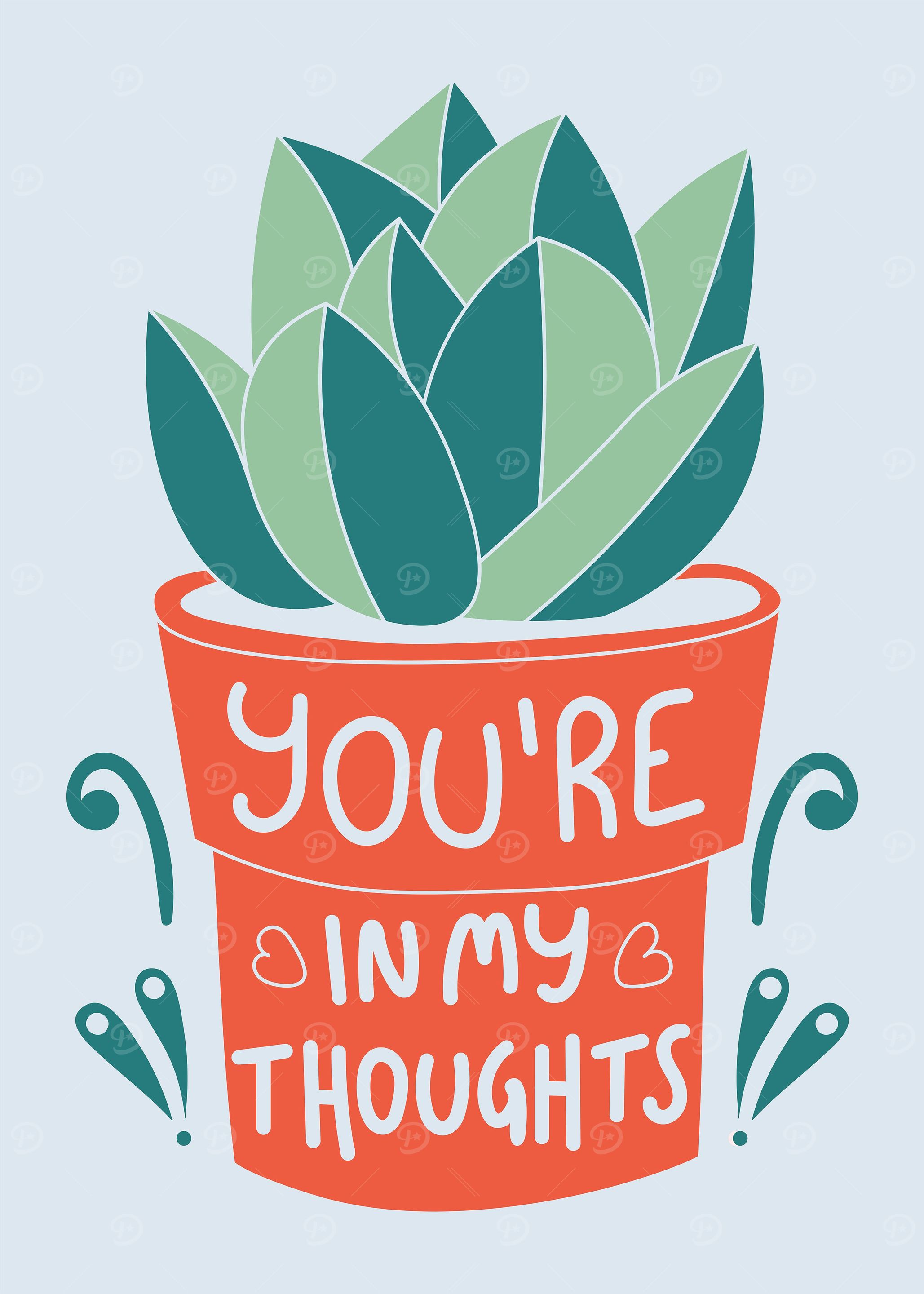 Succulent Plant
