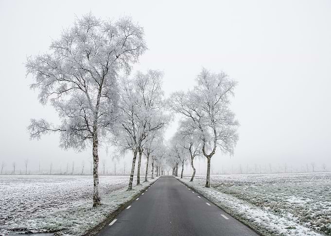 Frosty Road to where