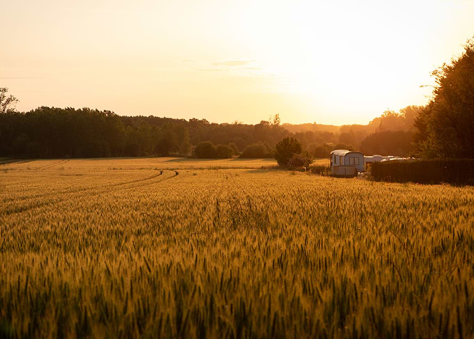 Photo sunset field