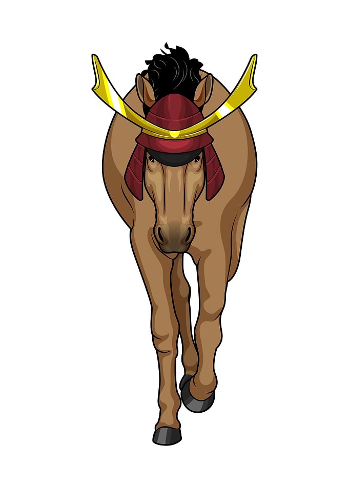 Horse Samurai Martial arts