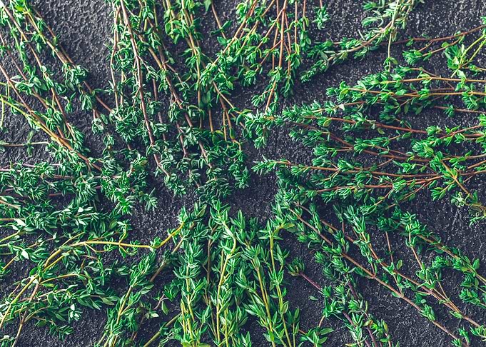 Fresh thyme