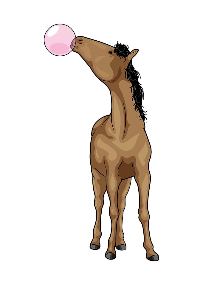 Horse Chewing gum