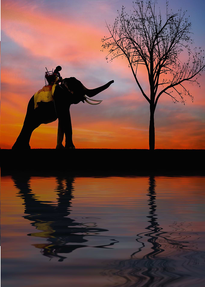 elephant silhouette