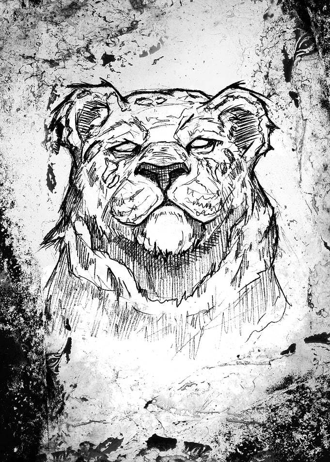 Big Cat