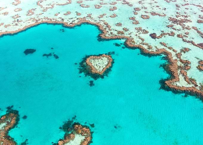 Great Barrier Reef Heart