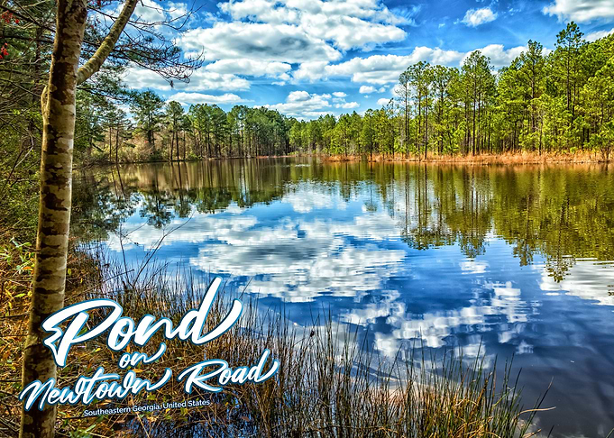 Pond on Newtown Road