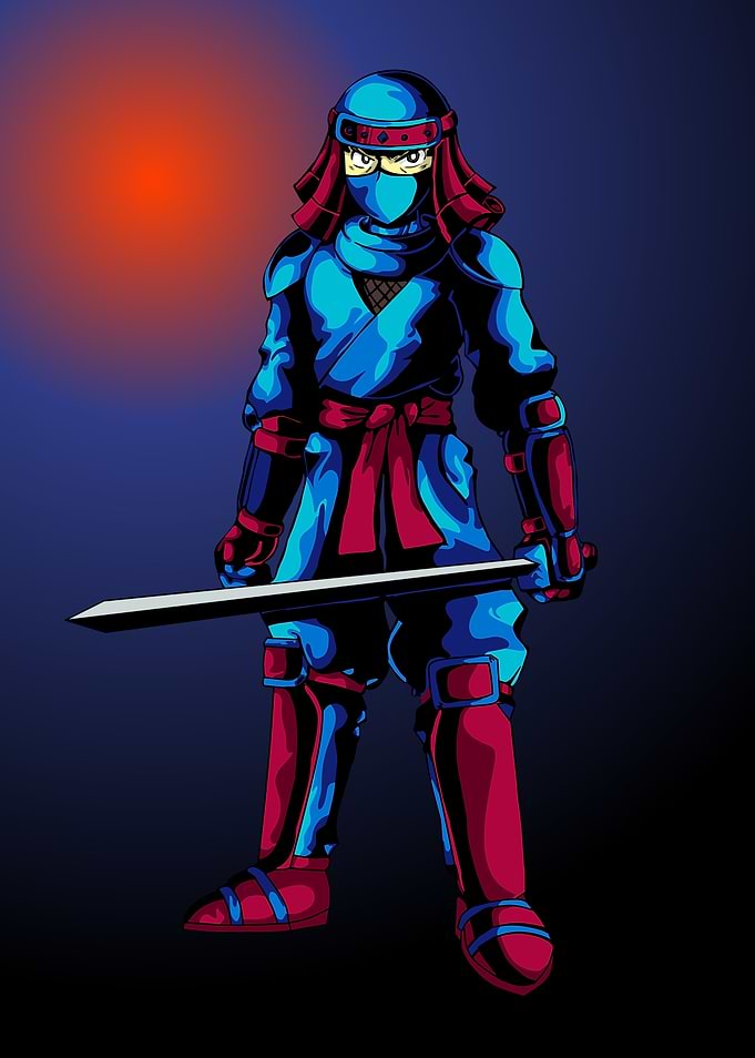 Ninja shadow soul