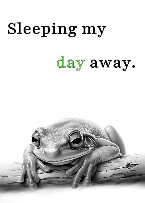 Sleeping My Day Away — funny metal wall sign