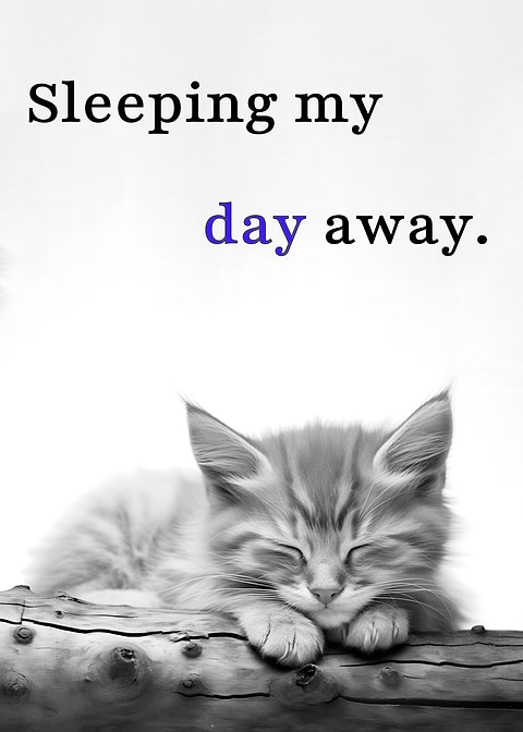 Sleeping My Day Away — funny metal wall sign