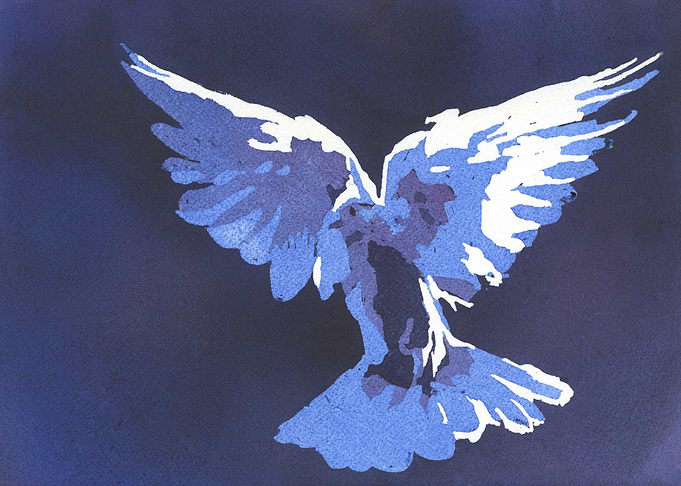 White Dove Painting Art