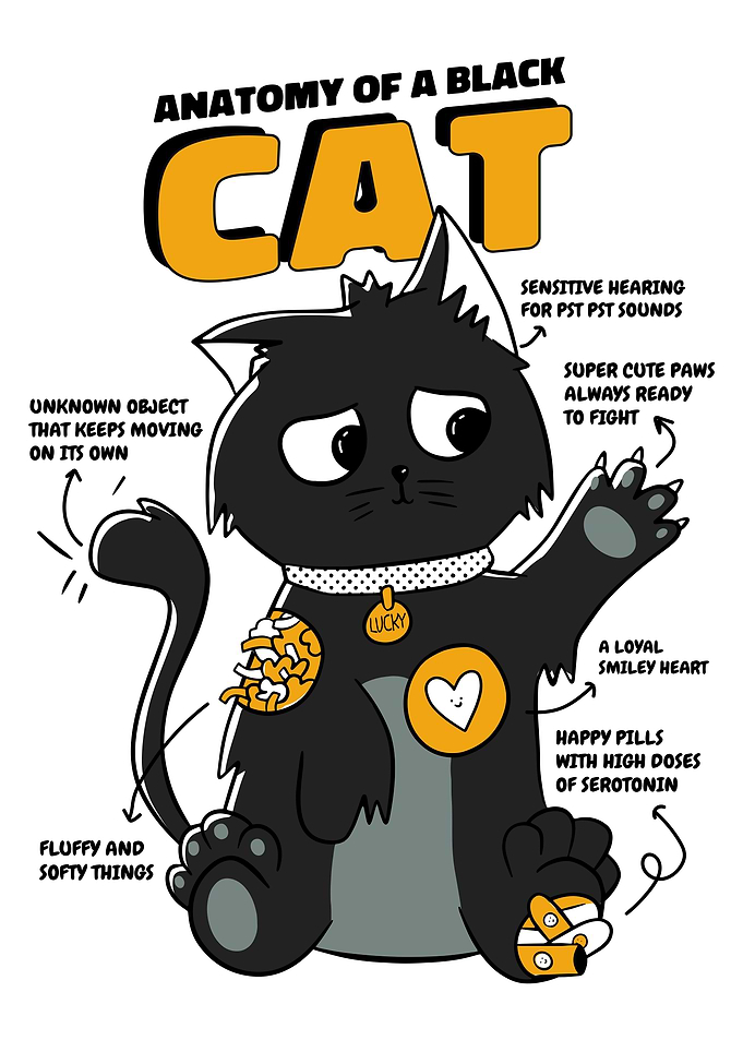 Black Cat