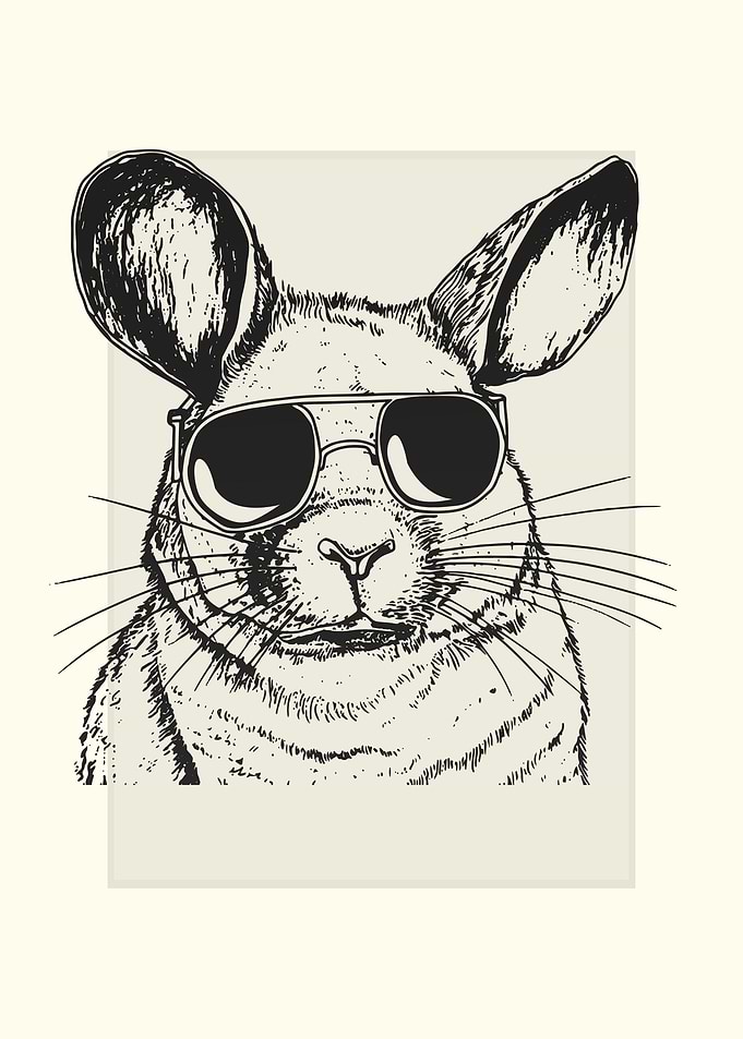 Chinchilla Illustration