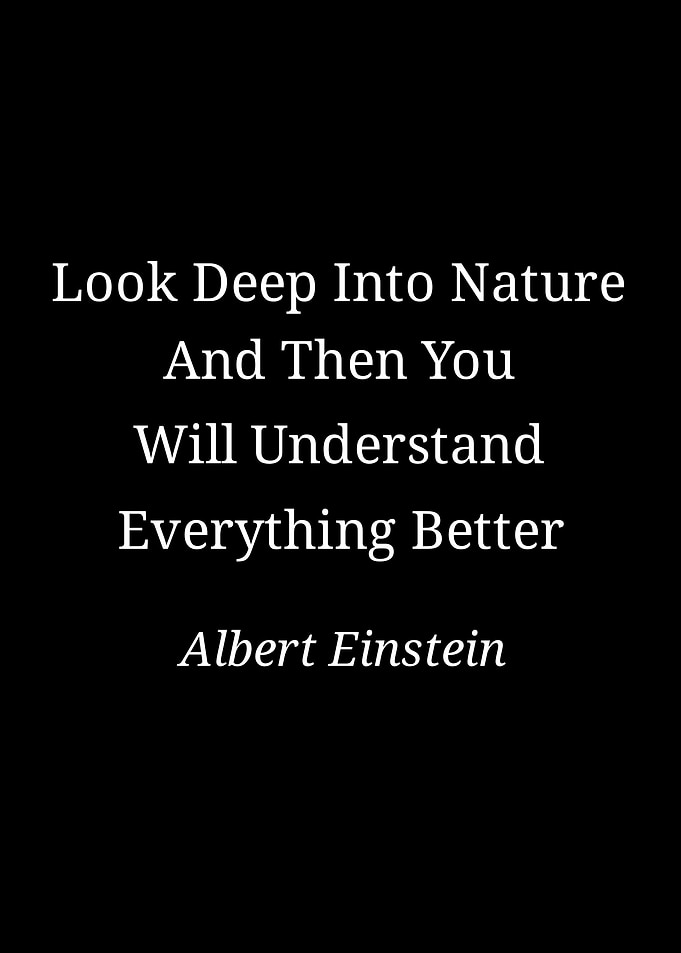 Quotes and Text Art