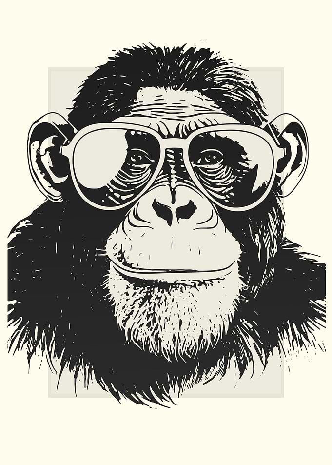 Chimpanzee Illustration