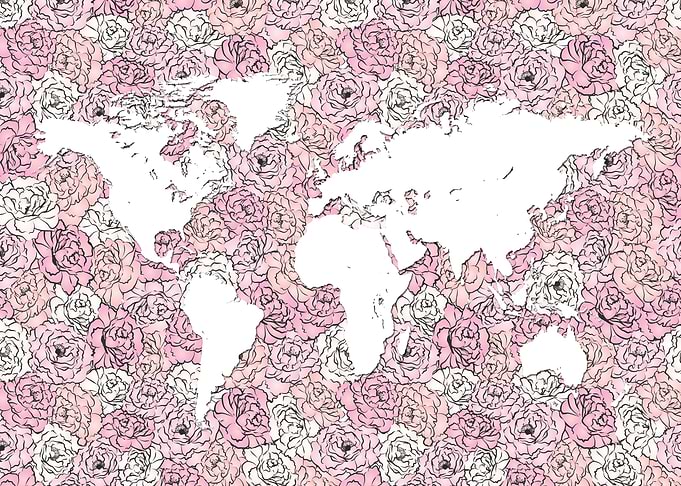 Pink peony world map