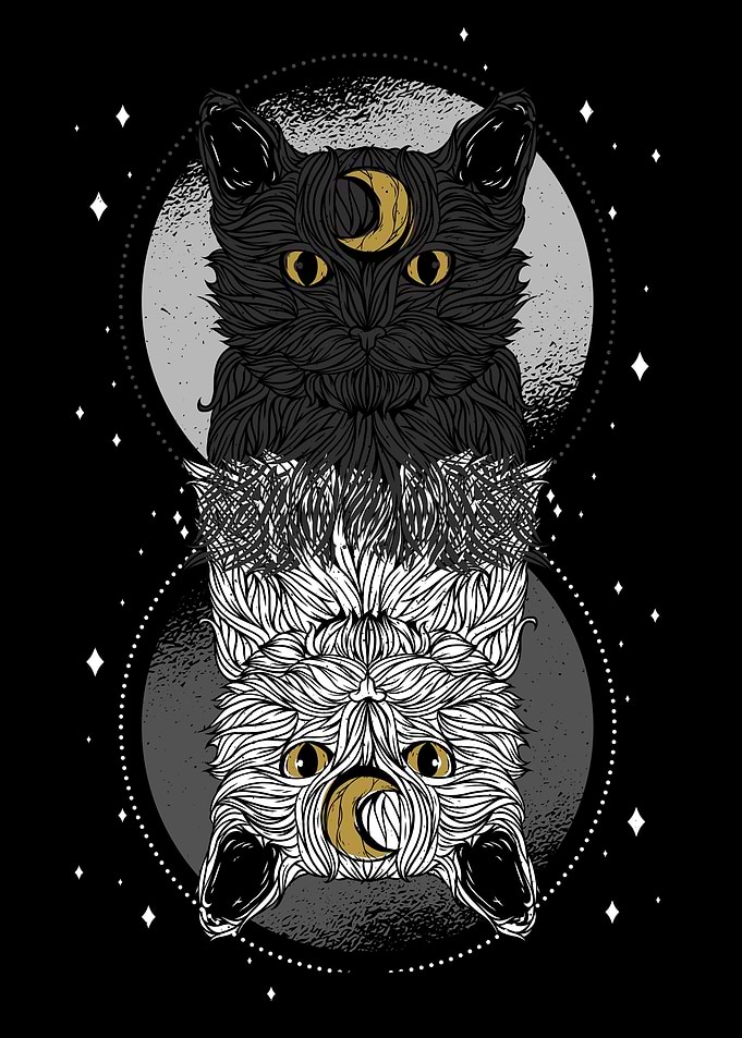 As Above so Below Cat