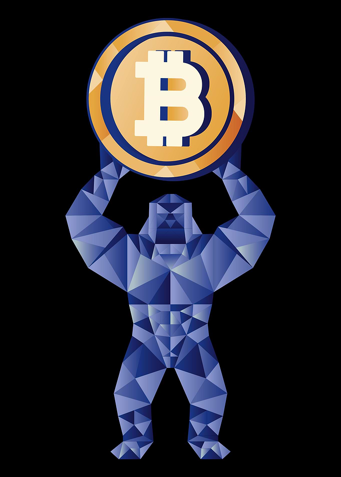 Crypto Gorrila