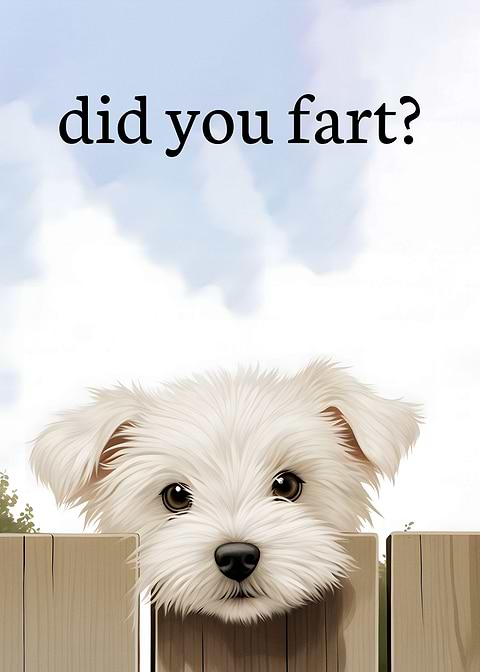 Did you fart — funny metal wall sign