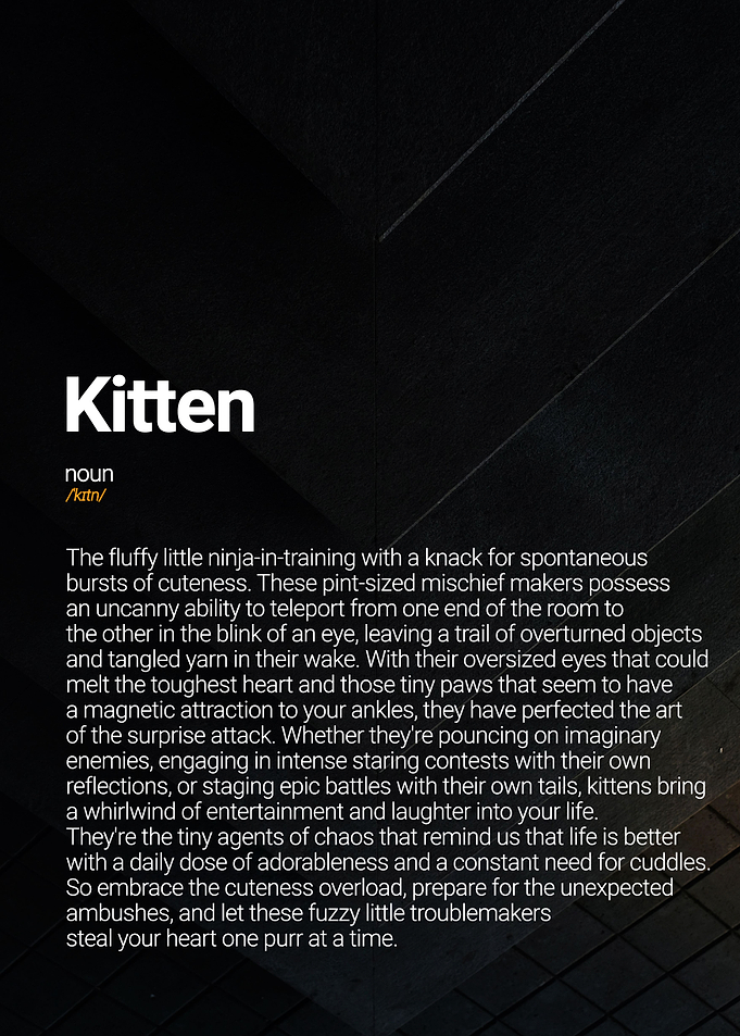 Kitten