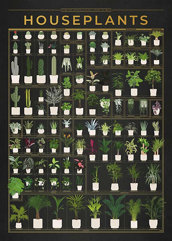 Gold Houseplants Chart
