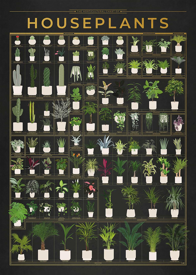 Gold Houseplants Chart