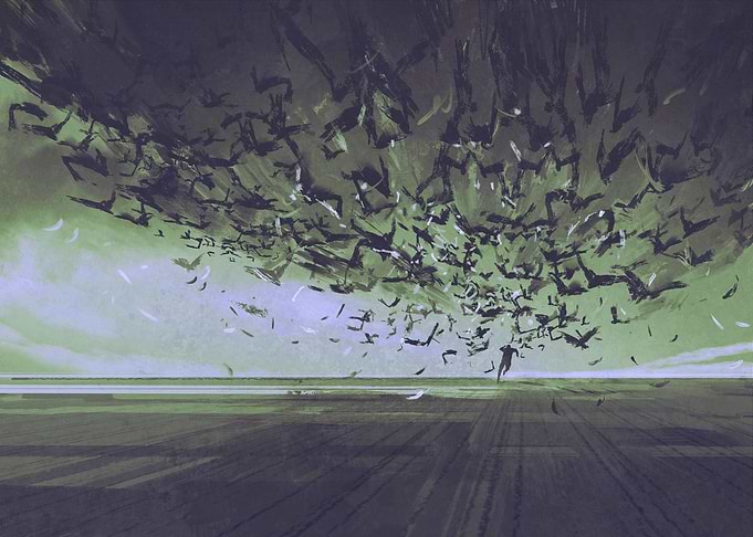 Attack of crows